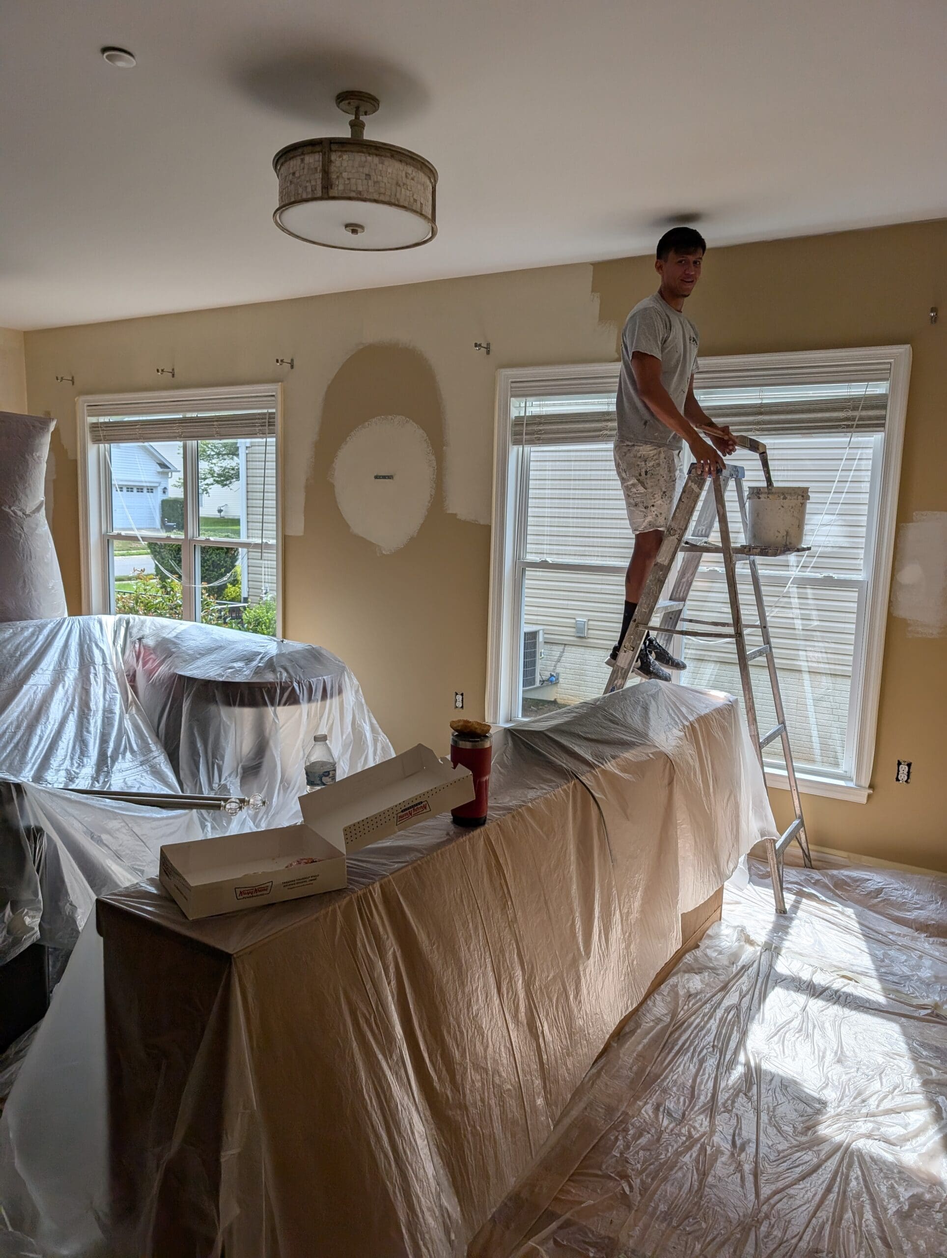 what makes professional painters different